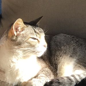 Meet your Posher, Curt